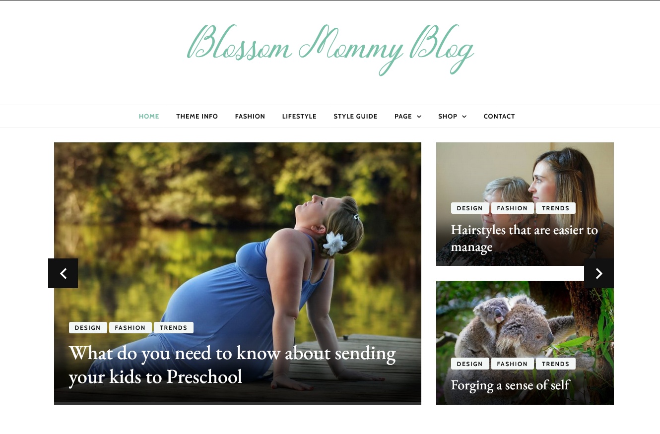 Blossom Mommy Blog