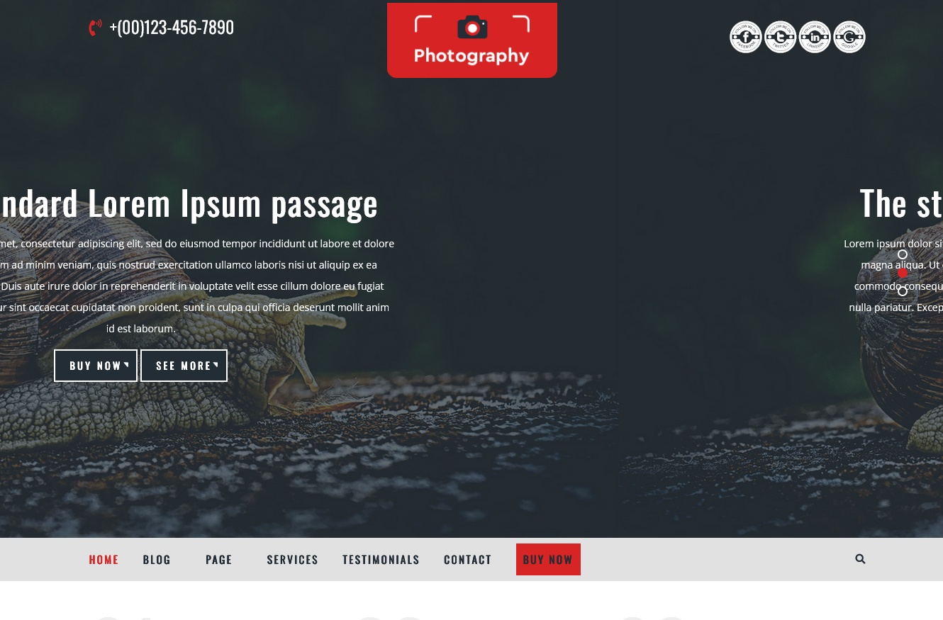 10+ Best Free Photography WordPress Themes