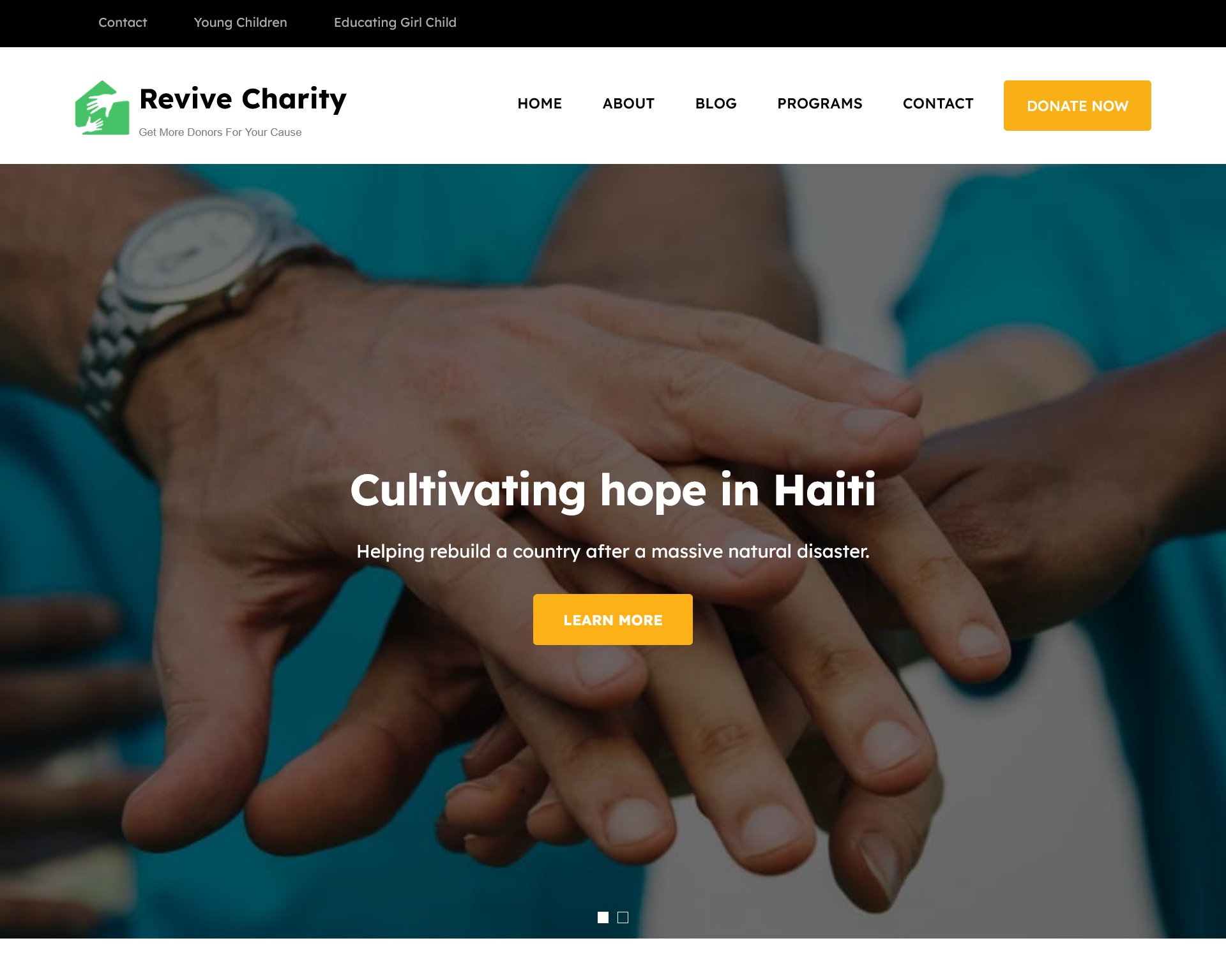 Revive Charity WordPress Theme