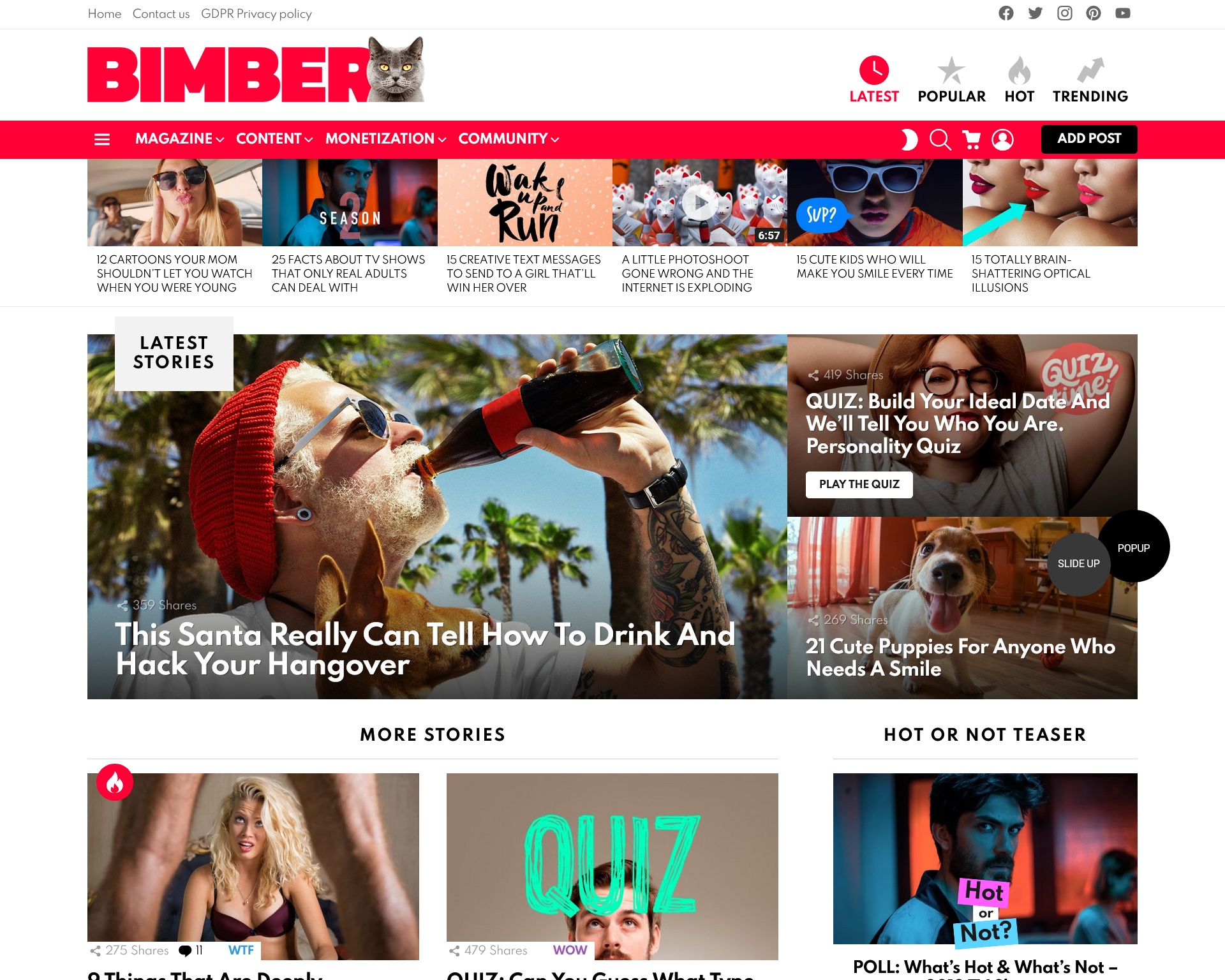 Bimber Viral Buzz WordPress Theme