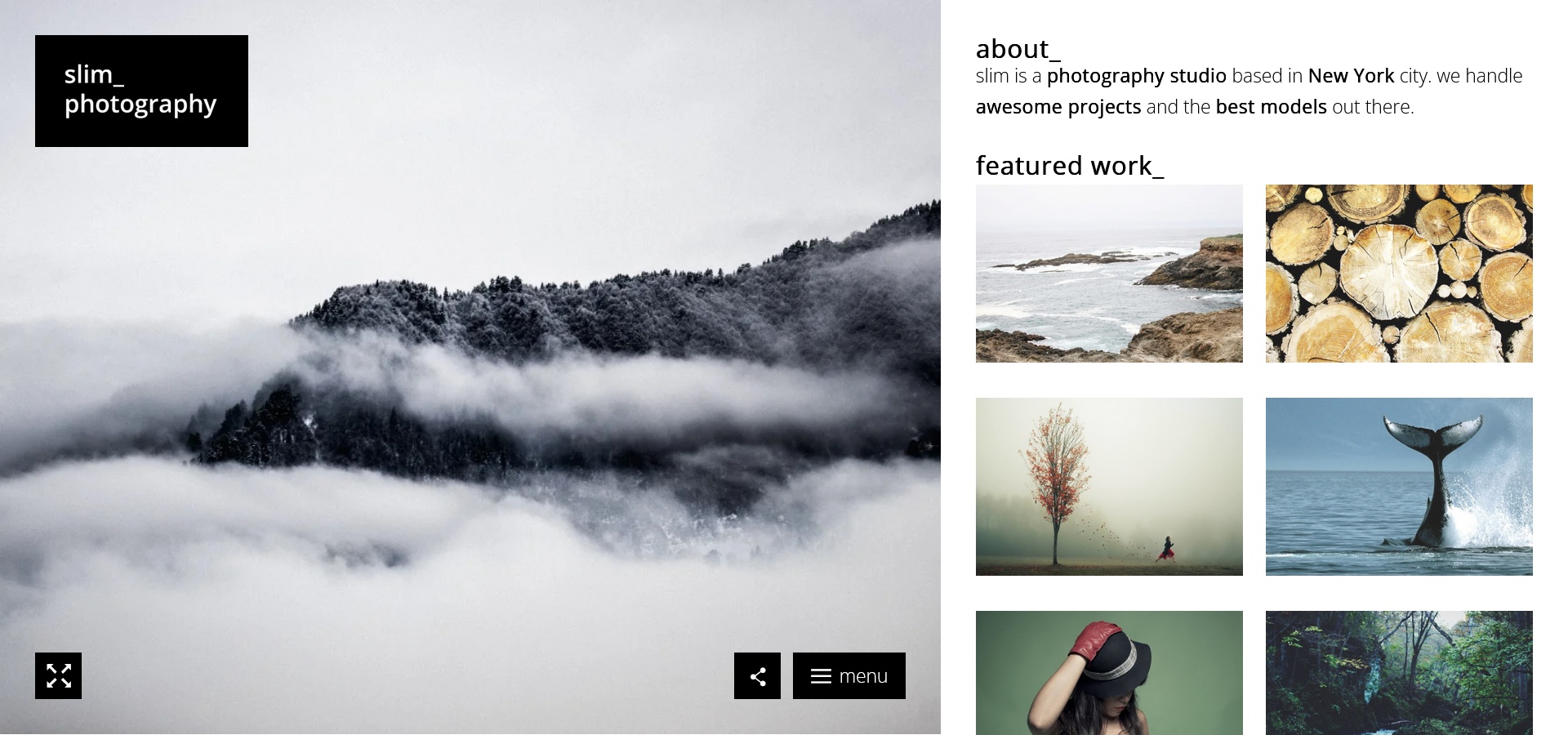 Slim Photography WordPress Theme 