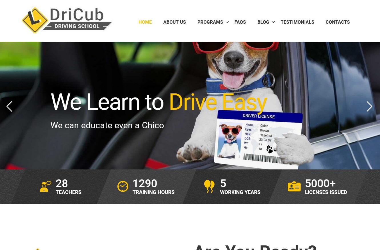 DriCub WordPress Theme