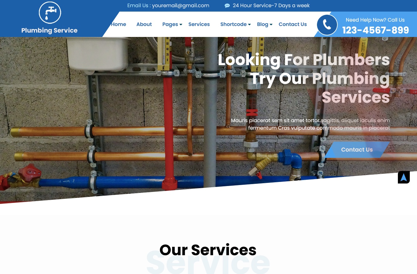 Plumber Services