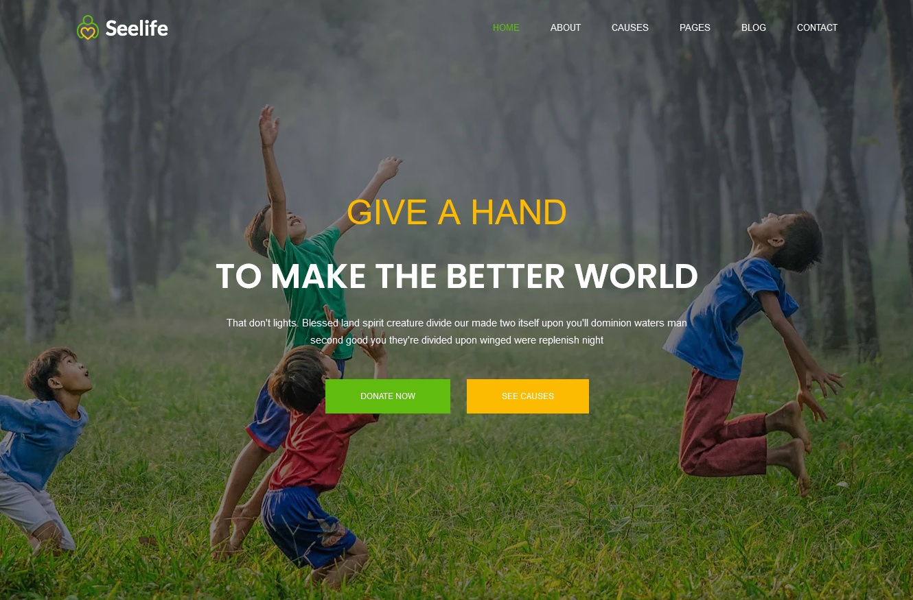 Seelife Charity HTML Website Template
